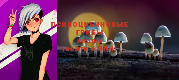 СК Семилуки
