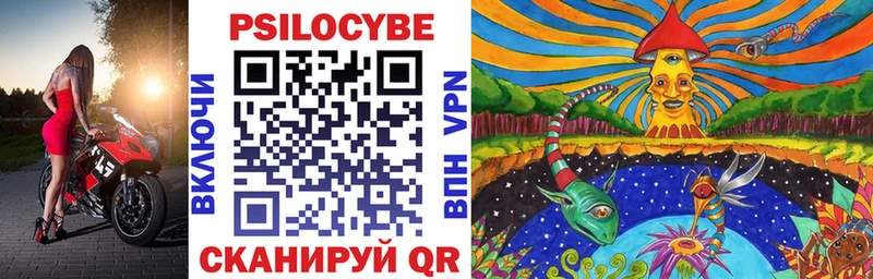 Галлюциногенные грибы Psilocybine cubensis Магас