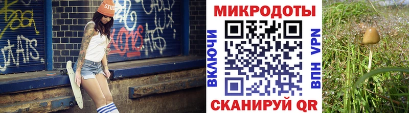 Псилоцибиновые грибы Magic Shrooms  Магас 